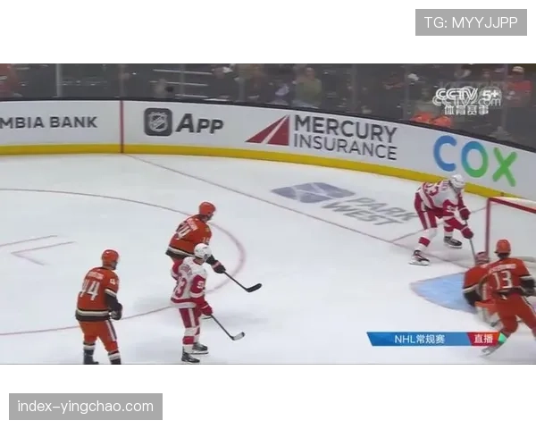 阿纳海姆小鸭5比2客场击败底特律红翼 展现强劲进攻火力